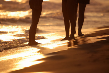 Similar image 1289830