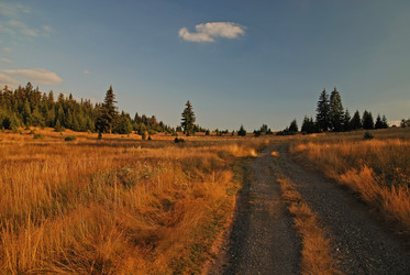 Similar image 1289837