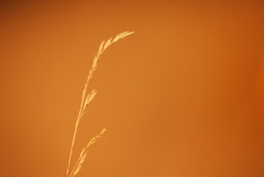 Similar image 1289838