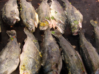 Similar image 1289839