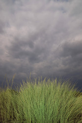 Similar image 1289852