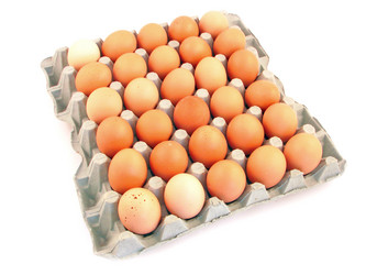 Similar image 1289855