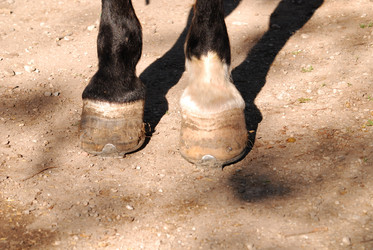 Similar image 1289859