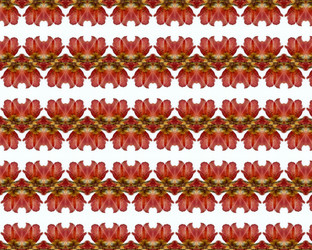 Similar image 1291164