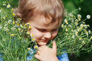 Similar image 1291176