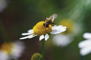 Similar image 1291180