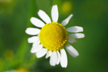 Similar image 1291181