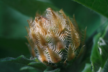 Similar image 1291193