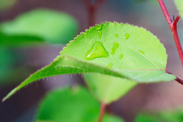 Similar image 1291203