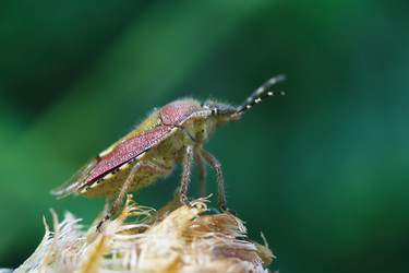 Similar image 1291205