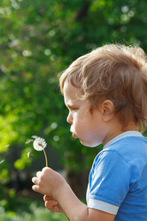 Similar image 1291206