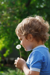 Similar image 1291207