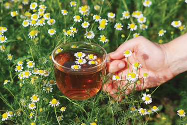 Similar image 1291211