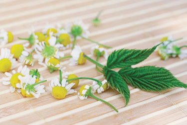 Similar image 1291212