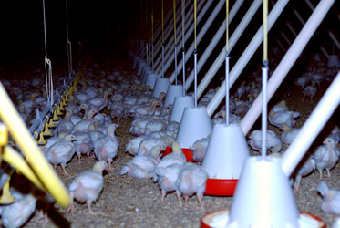 Similar image 1291576