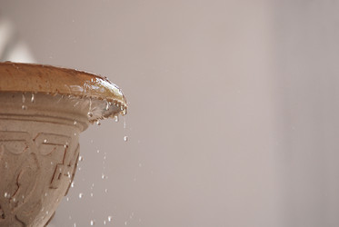 Similar image 1291583