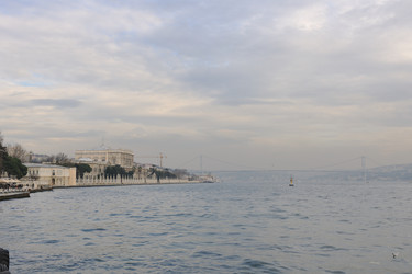 Similar image 1291590