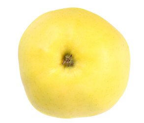 Similar image 1291835