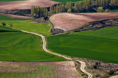 Similar image 1292016