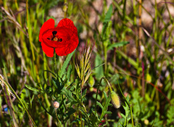 Similar image 1292031