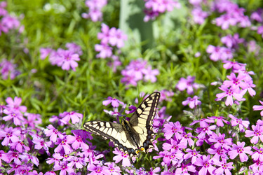 Similar image 1292172