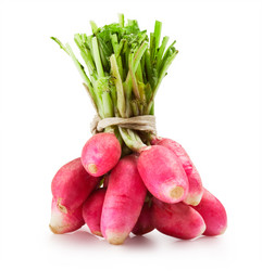 Similar image 1292229