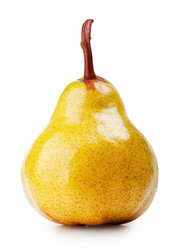 Similar image 1292233