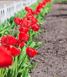 Similar image 1292236