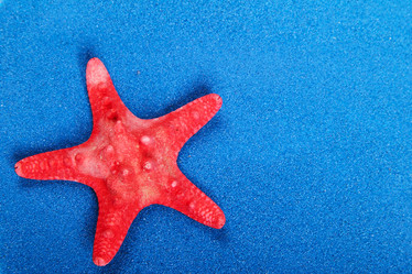 Similar image 1292261