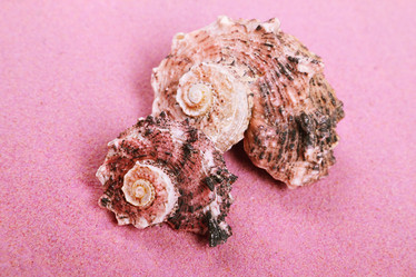 Similar image 1292263