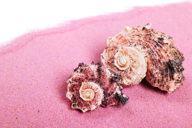 Similar image 1292264