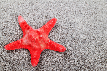 Similar image 1292269