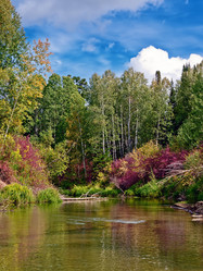 Similar image 1292276