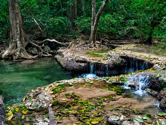 Similar image 1292279