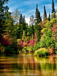 Similar image 1292280