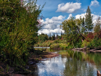 Similar image 1292283