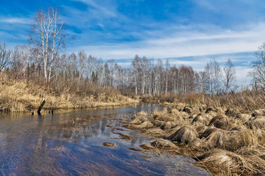 Similar image 1292302