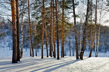 Similar image 1292305