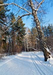 Similar image 1292307