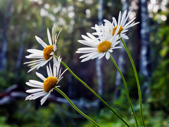 Similar image 1292310