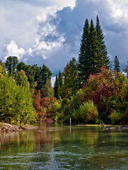 Similar image 1292312