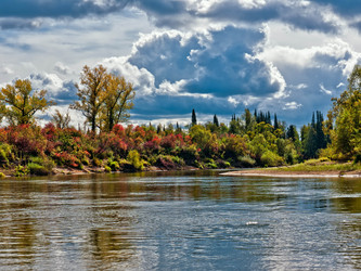 Similar image 1292332