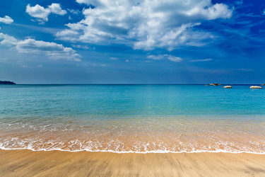 Similar image 1292347