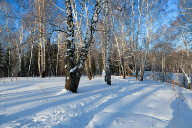 Similar image 1292349