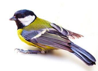 Similar image 1292354