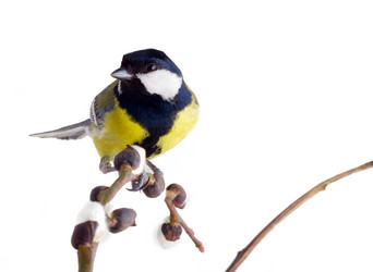 Similar image 1292358