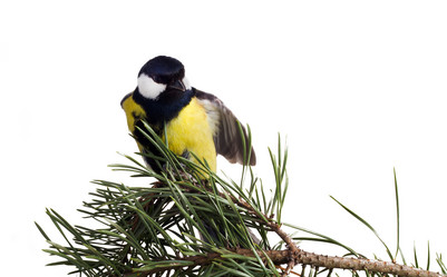 Similar image 1292361