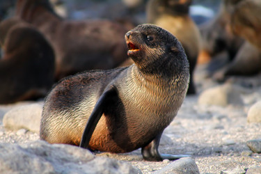 Similar image 1292364