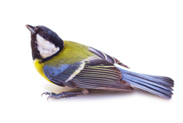 Similar image 1292367