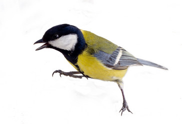 Similar image 1292372